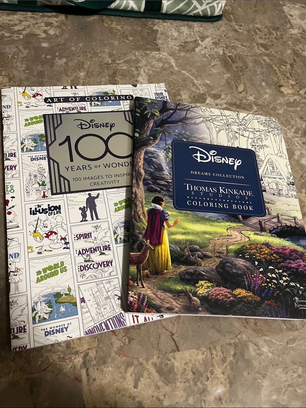 Set of 2 Disney Coloring Books -
